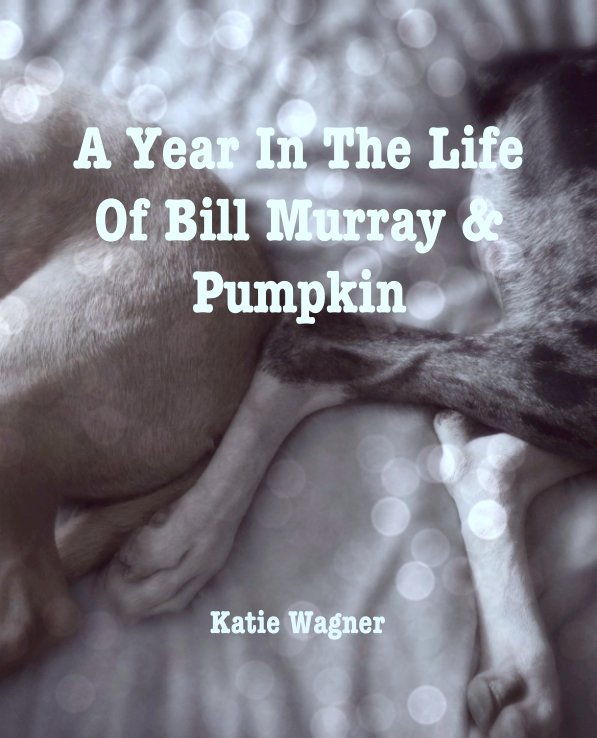 View A Year In The Life Of Bill Murray & Pumpkin by Katie Wagner