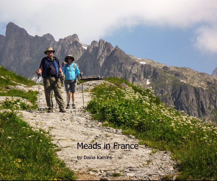 View Meads in France by Daina Kalnins
