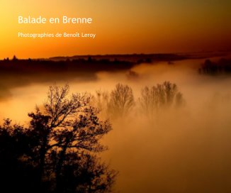 Balade en Brenne book cover