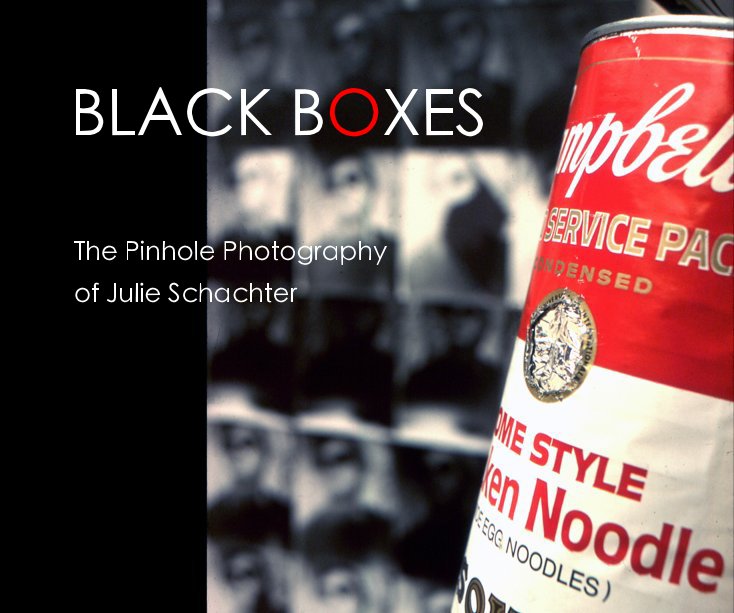 View Black Boxes by Julie Schachter