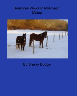 Seasonal Views In Midcoast 
                         Maine book cover
