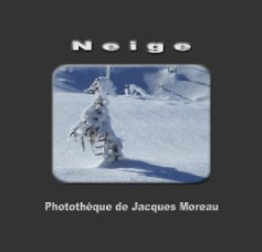 Neige book cover