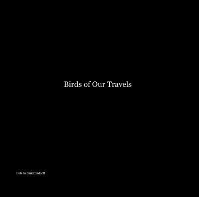 Birds of Our Travels book cover