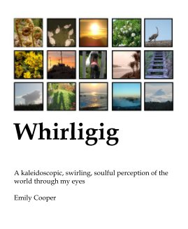 Whirligig book cover
