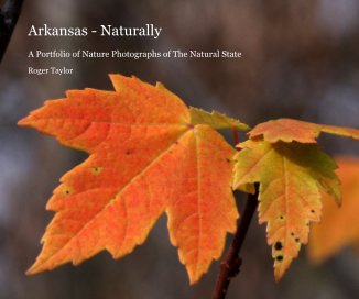 Arkansas - Naturally book cover