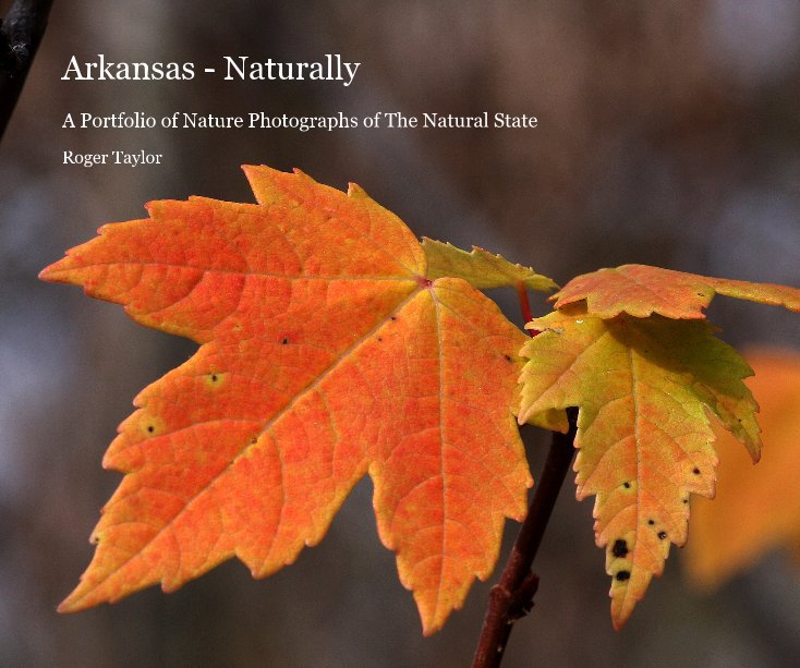 View Arkansas - Naturally by Roger Taylor