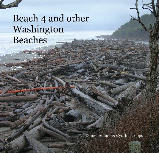 View Beach 4 and other Washington Beaches by Daniel Adams & Cynthia Toops