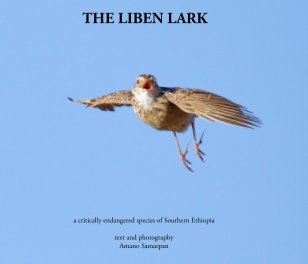 The LIBEN LARK book cover