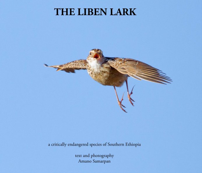 View The LIBEN LARK by Amano Samarpan