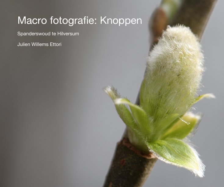 View Macro fotografie: Knoppen by Julien Willems Ettori