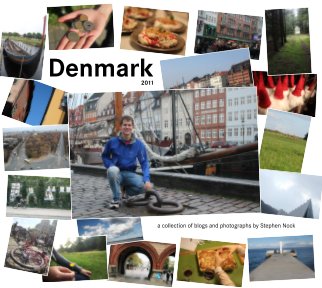 Denmark 2011 book cover