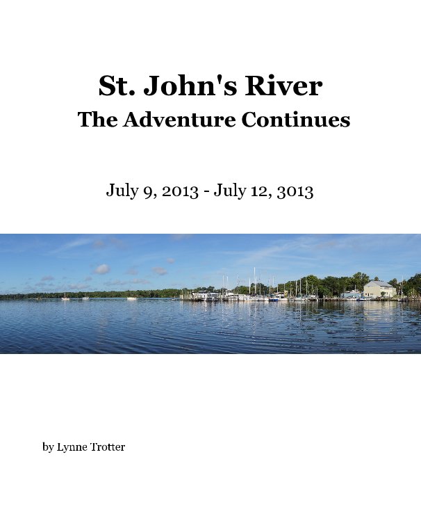 View St. John's River The Adventure Continues by Lynne Trotter