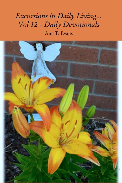 View Excursions in Daily Living...   Vol 12 - Daily Devotionals by Ann T. Evans