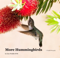 More Hummingbirds book cover