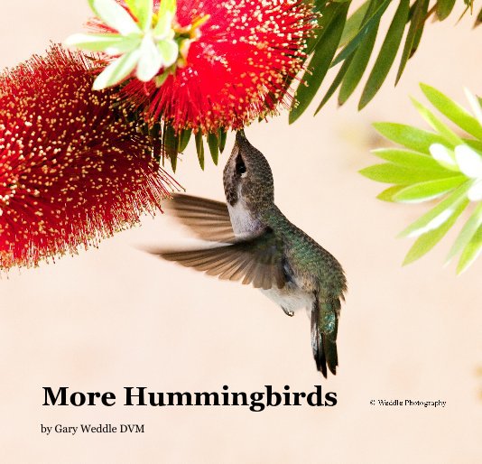 Ver More Hummingbirds por Gary Weddle DVM