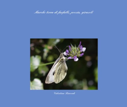 Marche terra di farfalle, poesia, girasoli book cover