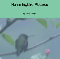 Hummingbird Pictures book cover