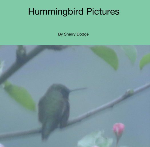 View Hummingbird Pictures by Sherry Dodge