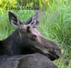 Travels in Maine book cover