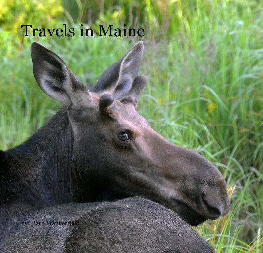 View Travels in Maine by by: Barb Frankenfield