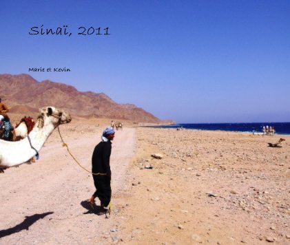 Sinaï, 2011 book cover