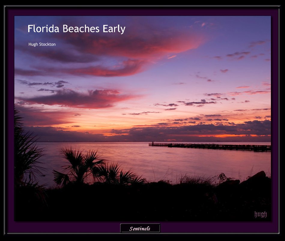 View Florida Beaches Early by Hugh Stockton
