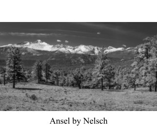 Ansel by Nelsch book cover