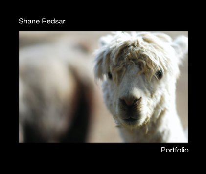 Shane Redsar: Portfolio book cover