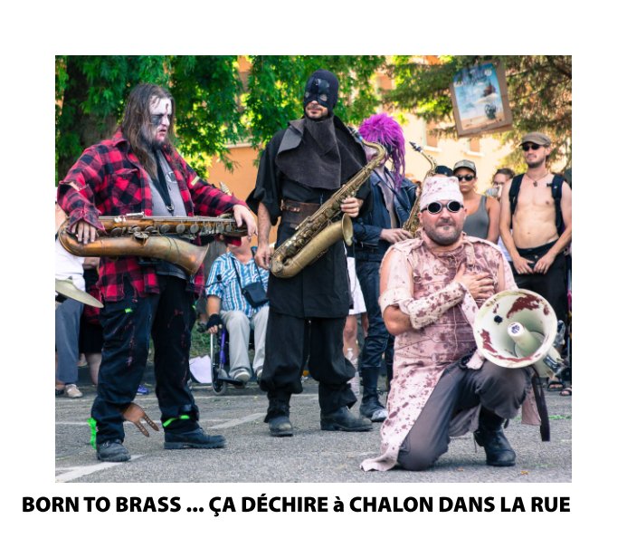 View Born To Brass … ça déchire à Chalon dans la Rue 2013 by Bertrand Chambarlhac