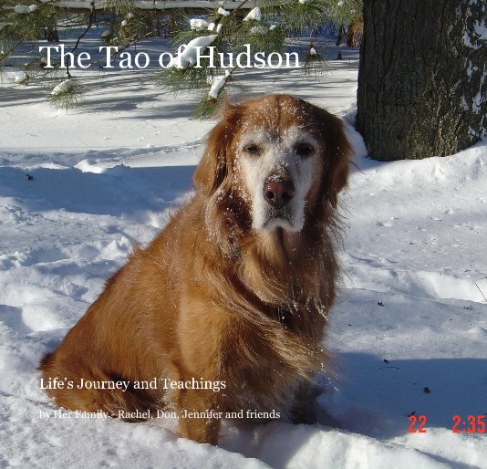 View The Tao of Hudson by Her Family - Rachel, Don, Jennifer and friends