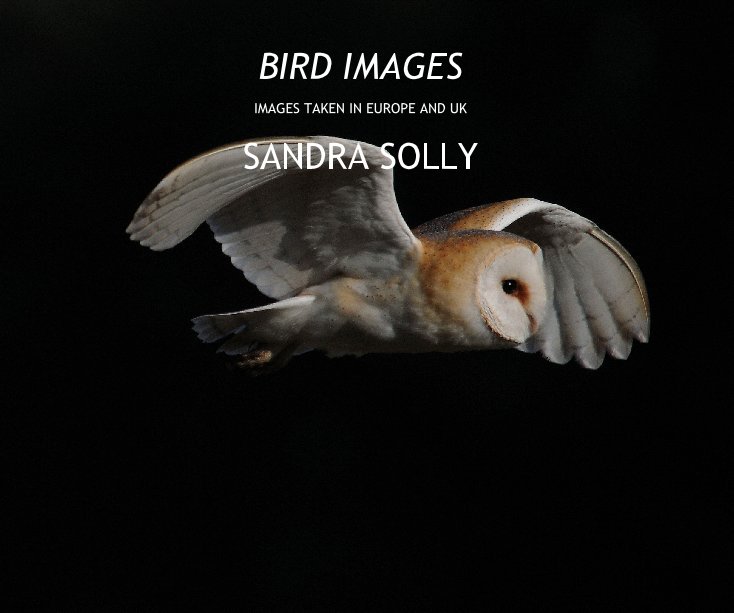Ver BIRD IMAGES por SANDRA SOLLY