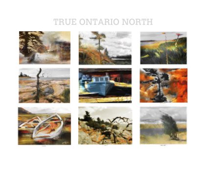 True Ontario North by Bob Salo book cover