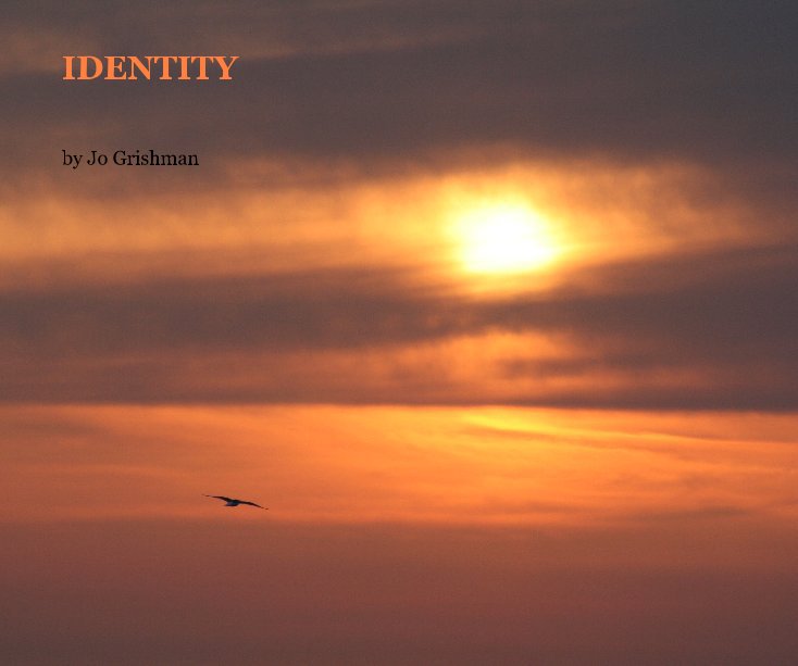 View IDENTITY by Jo Grishman