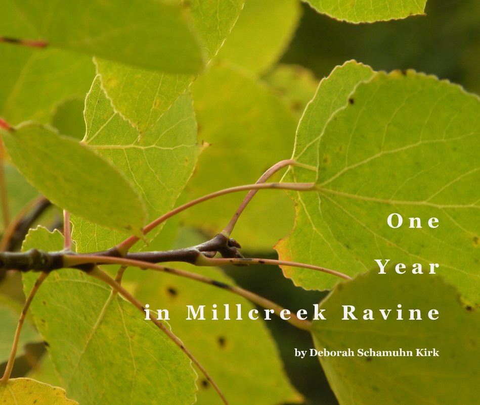Ver One Year in Millcreek Ravine por deborah schamuhn kirk