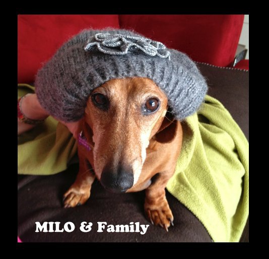 View MILO & Family by David & Sandra Hanington