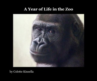 A Year of Life in the Zoo book cover