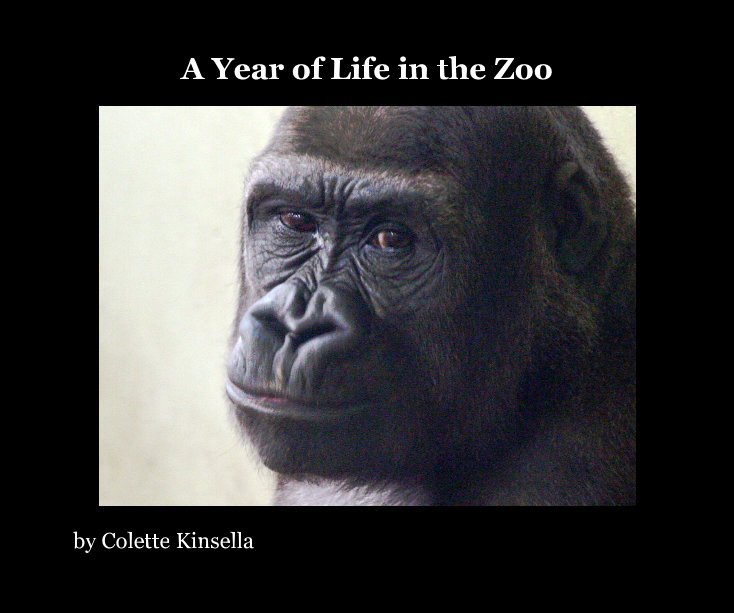 View A Year of Life in the Zoo by Colette Kinsella