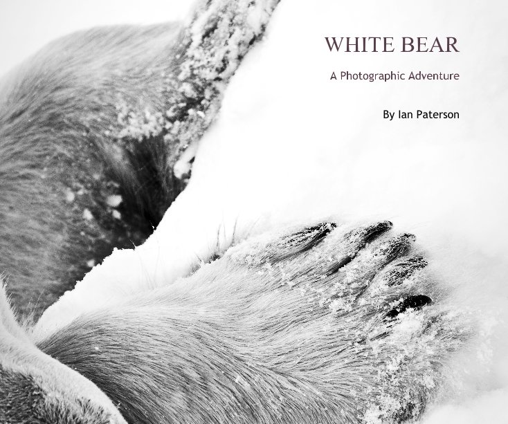 View WHITE BEAR by Ian Paterson