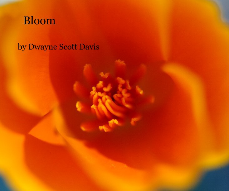 View Bloom by Dwayne Scott Davis