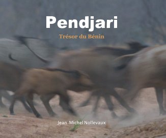 Pendjari book cover