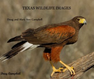 TEXAS WILDLIFE IMAGES book cover