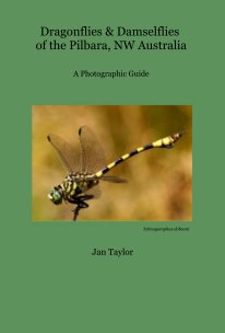 Dragonflies & Damselflies of the Pilbara, NW Australia book cover
