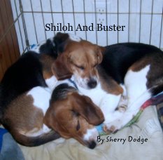Shiloh And Buster book cover