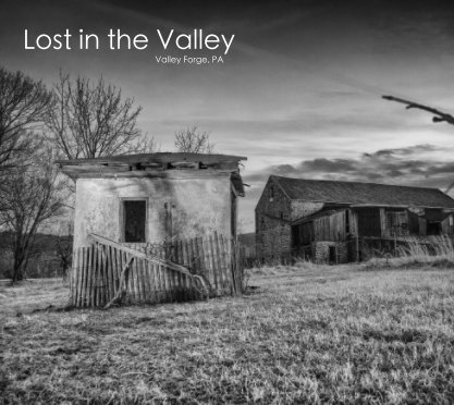 Lost in the Valley book cover