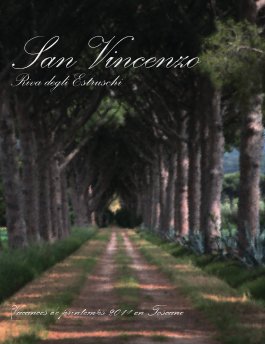 San Vincenzo - Toscana 2011 book cover
