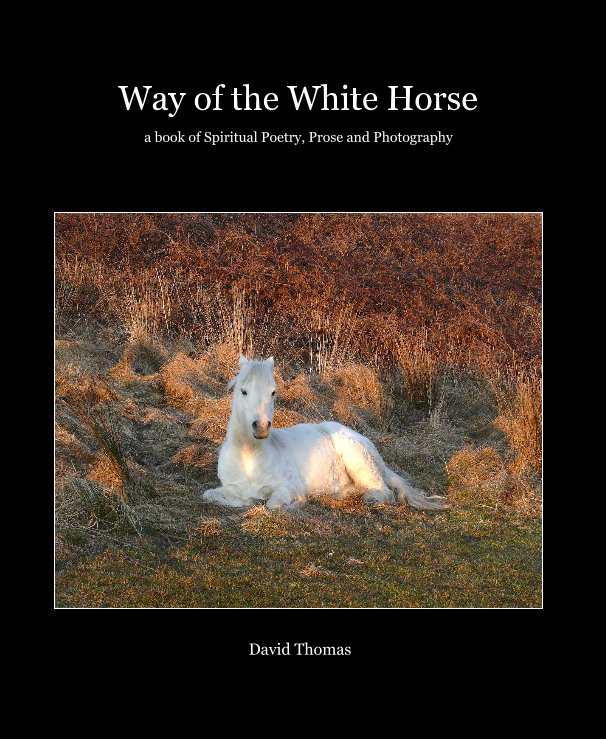 Bekijk Way of the White Horse op David Thomas