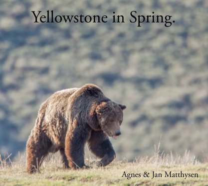 Yellowstone in Spring book cover