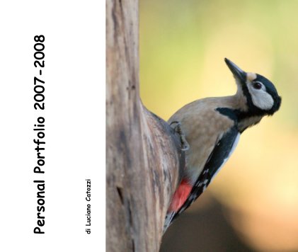 Personal Portfolio 2007-2008 book cover
