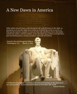 A New Dawn in America book cover