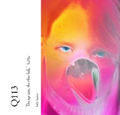 Q113 book cover